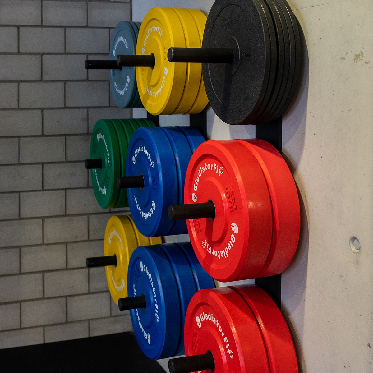 Rack de rangement mural en acier pour disques 51mm