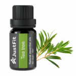 albero del tè3 albero del tè3