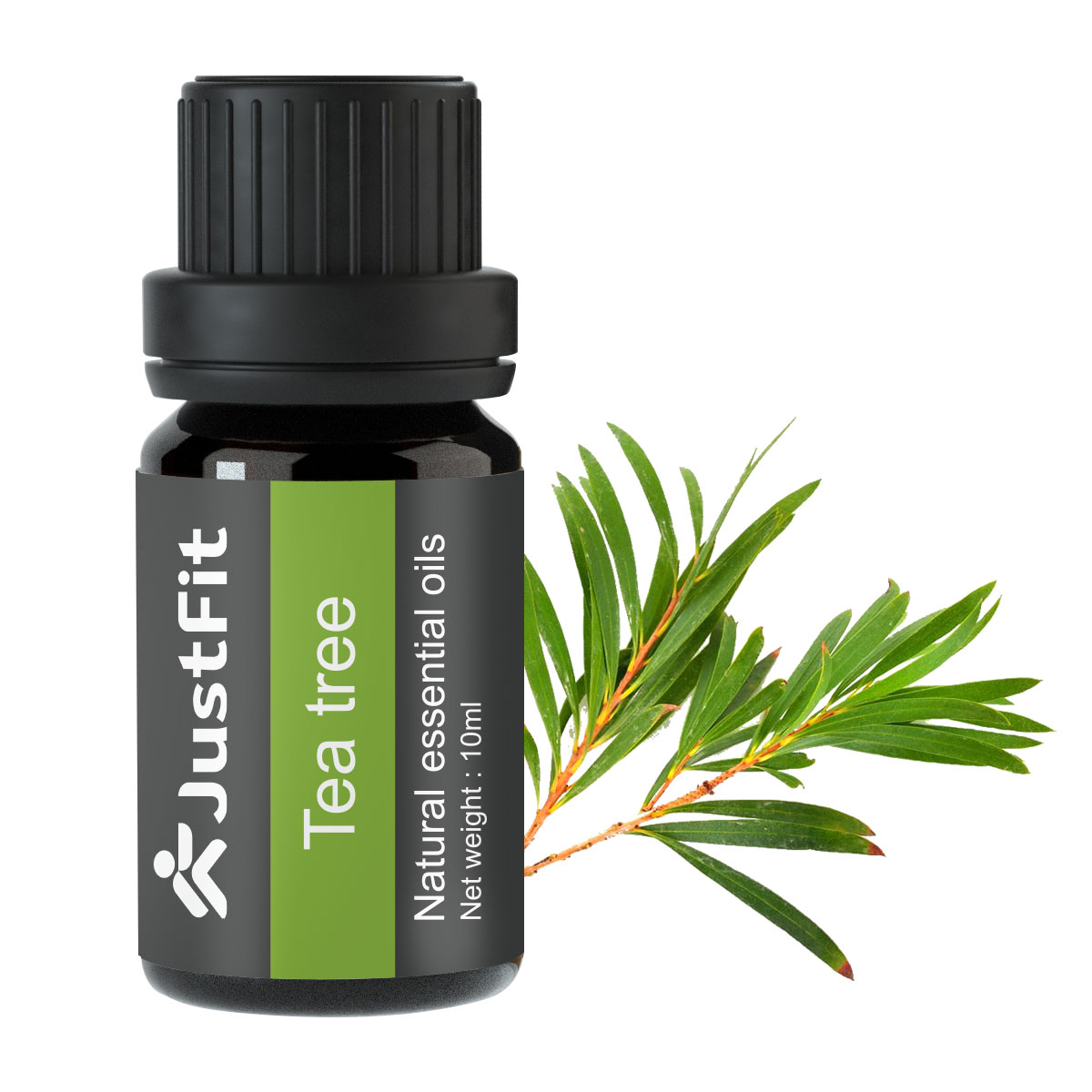 albero del tè3 albero del tè3