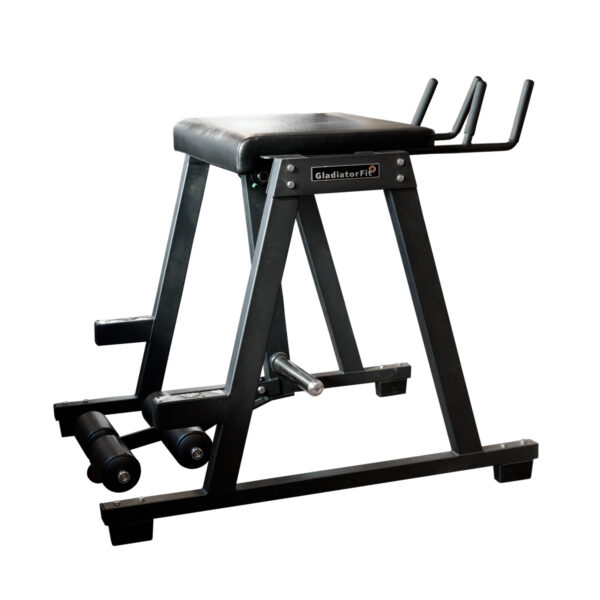 Machine hyperextension inversée “Reverse Hyper Extension” 7640409895888