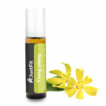 ylang ylang 3 ylang ylang 3