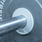 7640344752505 Disco frazionario aggiuntivo 0,25 kg