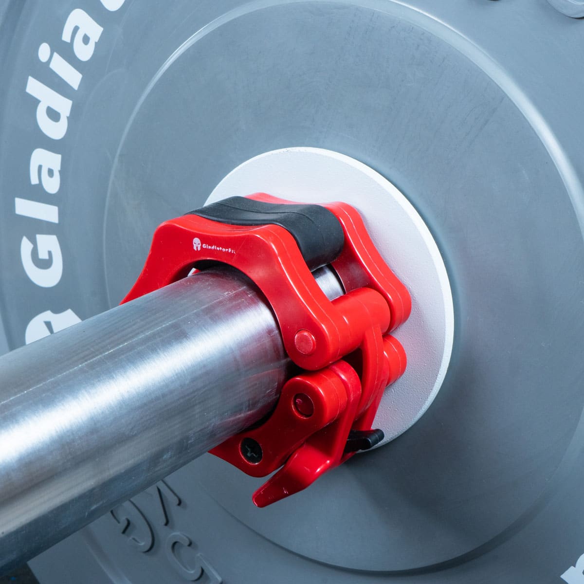 7640344752505 Disco frazionario aggiuntivo 0,25 kg 3