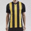 Camiseta de hombre Progress Jersey Stripe Craft 3498