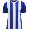 Camiseta hombre Progress Jersey Stripe Craft 5389
