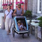 Remorque a velo convertible poussette Avenida Hamax 91122