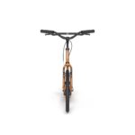 Adult scooter S2020 Yedoo 2014