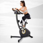 Velo semi professionnel Hometrainer Upright Bike C5i Self Generating LifeSpan Fitness 54133