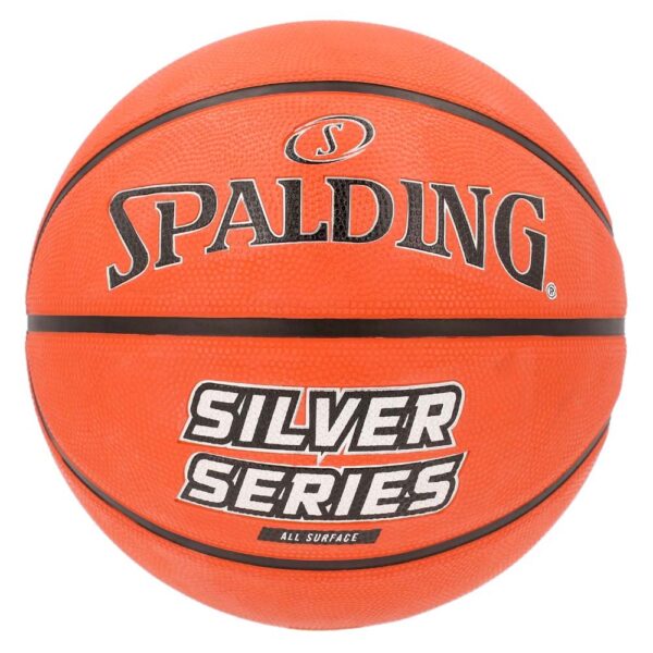 Spalding Silver Series basket 98564