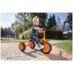 Tricycle Petit Beleduc 82162