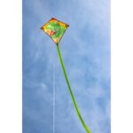 HQ invento Mini cometa Eddy T Rex 69809