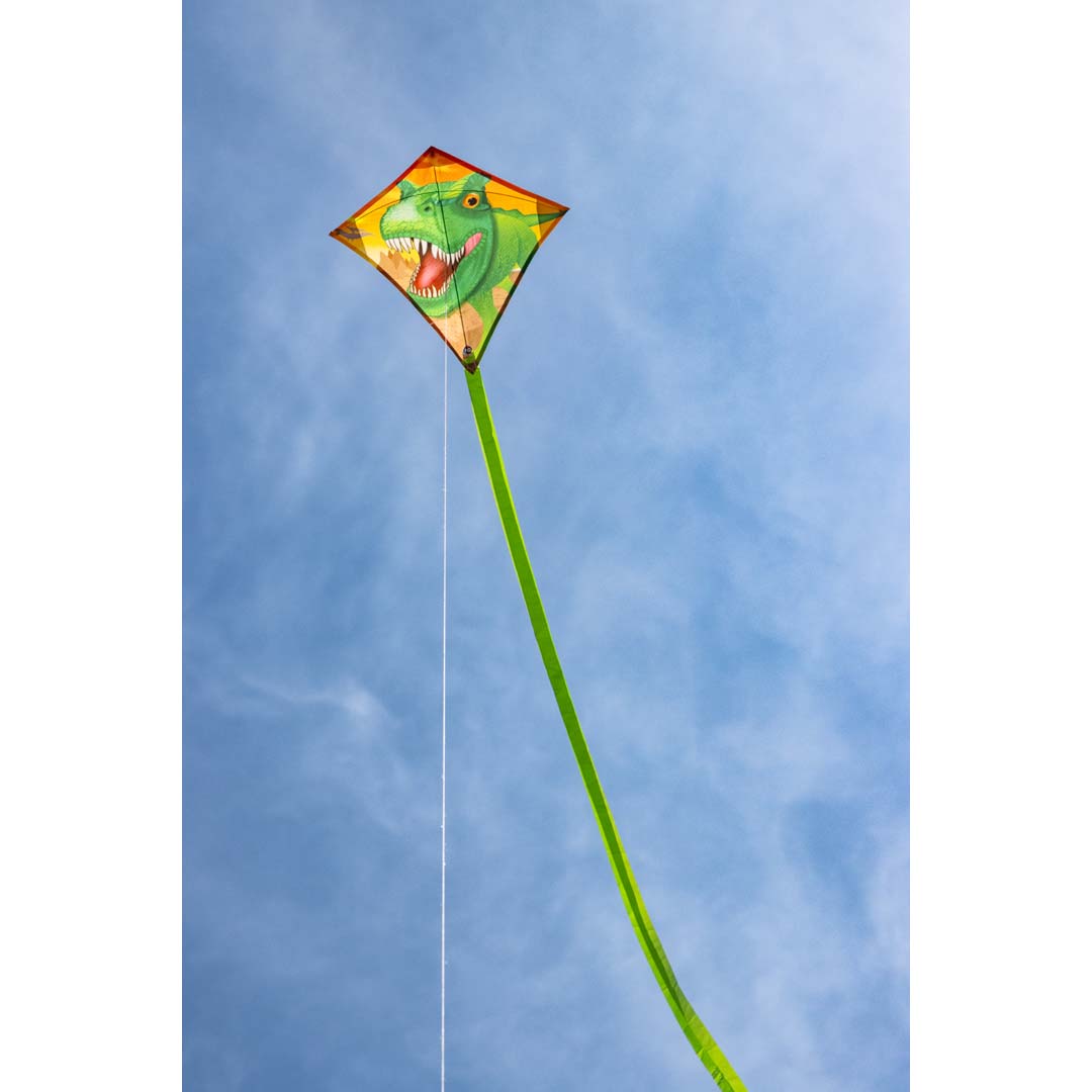 HQ invento Mini cometa Eddy T Rex 69809