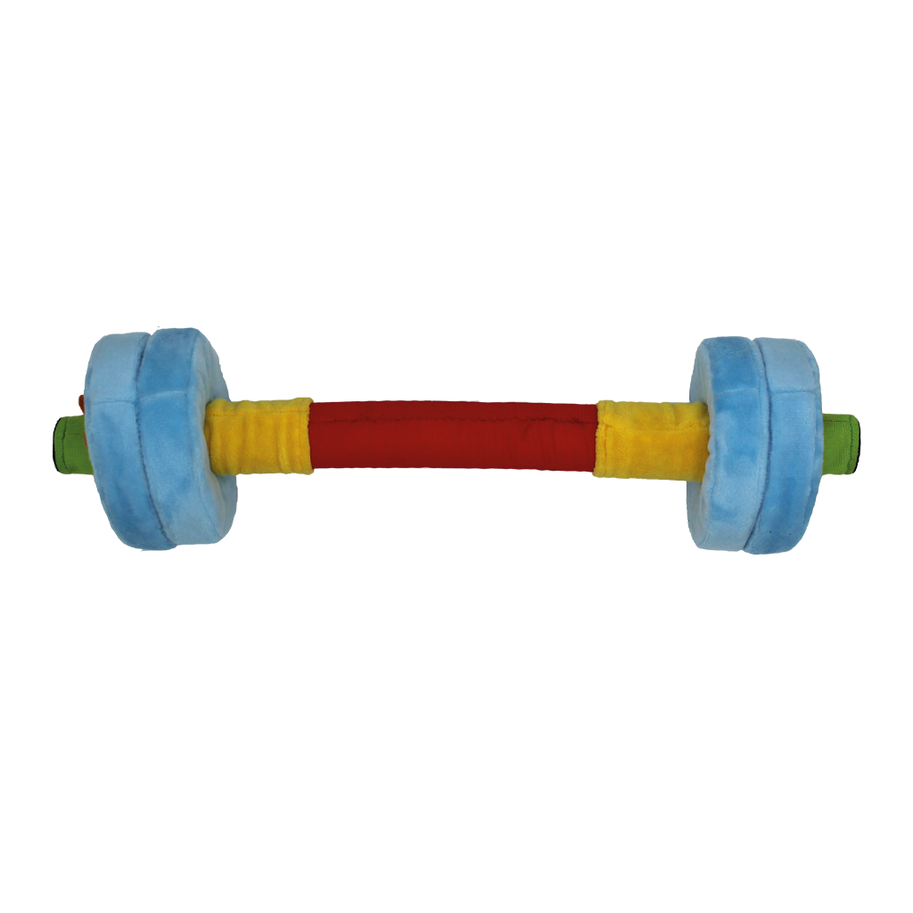 Bar and foam disc set FitKidz 31312