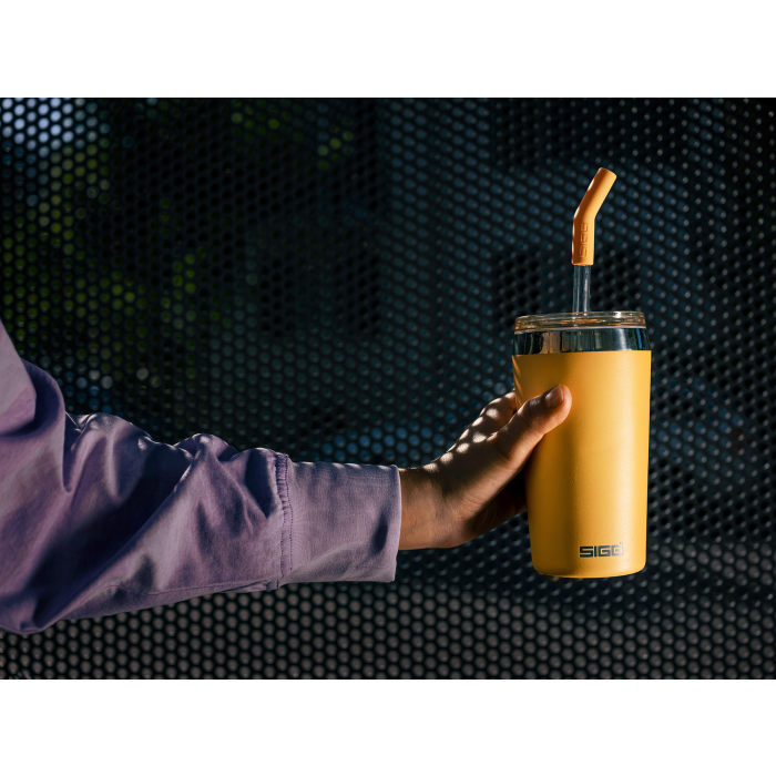 Mug isotherme Tumbler Mug Helia 0.45L SIGG 31060