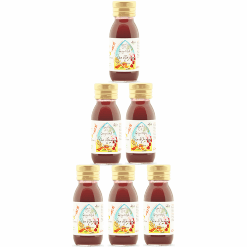 Ginger Shots “Fée d ‘Or- Sinaasappel en Hibiscus’ 60ml Fée d” Or (Partij van 36)