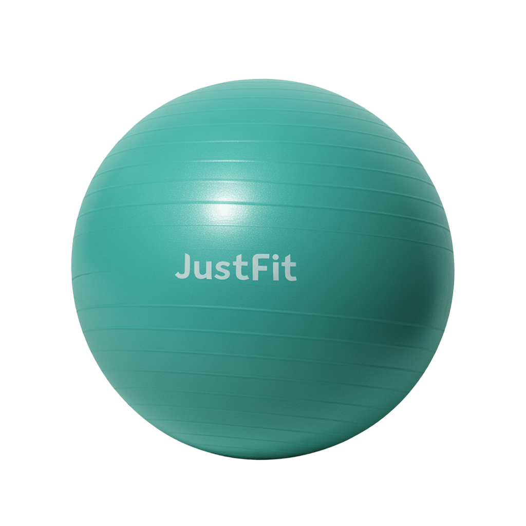 Swiss Ball yoga et fitness avec pompe de gonflage JustFit 65 CM 2